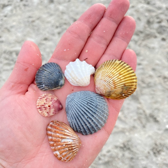 About the seller: - Picture 11 of 15